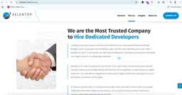 Business Website Solution
